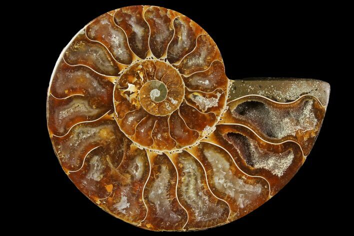 Agatized Ammonite Fossil (Half) - Madagascar #114938